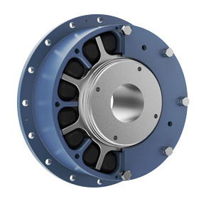 Renold PM Flexible Coupling